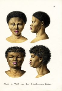 Bushmen, 1824 - Karl Joseph Brodtmann